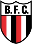Botafogo Logo